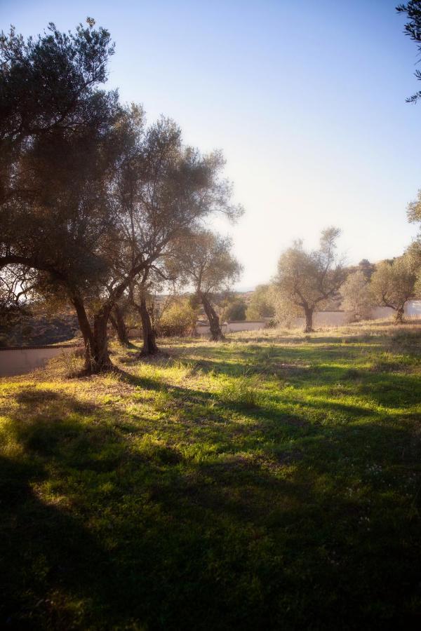 Finca Palmers Dos Mijas Bagian luar foto